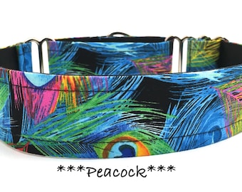 Peacock Feather Martingale Dog Collar or Buckle Dog Collar or Buckle Mart or Chain Martingale, Orange, Yellow, Pink, Aqua Blue - Peacok