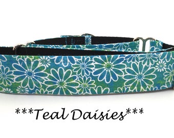 Martingale Dog Collar or Buckle Dog Collar or Buckle Mart or Chain Martingale, Blue, Green, White Daisies, Daisy, Teal Daisies