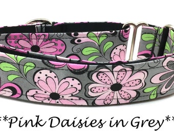 Martingale Dog Collar or Buckle Dog Collar or Buckle Mart or Chain Martingale, Daisies, Pink, Green, Black, Gray, Pink Daisies in Grey