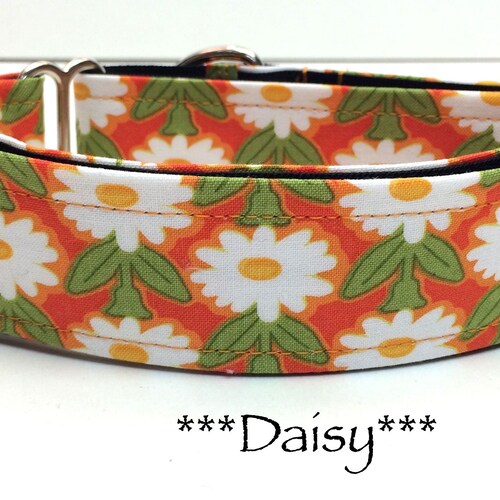 Orange Splash Martingale and Buckle Dog Collar Etsy