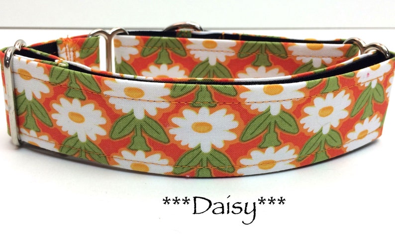 Martingale Dog Collar or Buckle Dog Collar or Buckle Mart or Chain Martingale, Orange, Yellow, Green, White Daisy Dog Collar, Daisy afbeelding 1