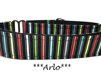 Martingale Dog Collar, Striped Buckle Dog Collar, Bright Dog Collar, Striped Martingale Dog Collar, Stripes, Bright, Arlo