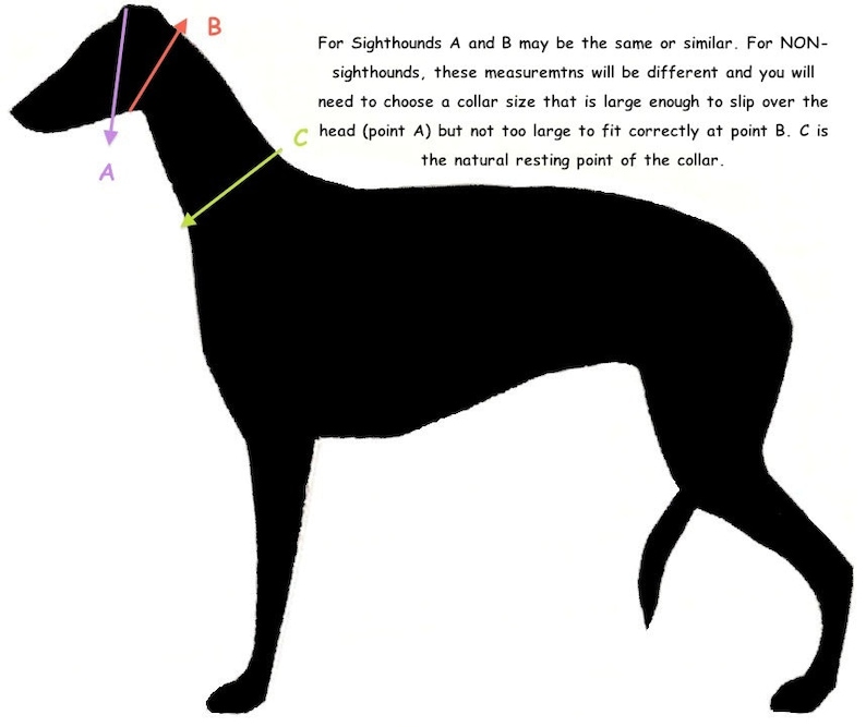 Peut inclure: Diagramme montrant comment mesurer le cou d'un chien pour un collier. Le point A est la t&ecirc;te, le point B est la base du cou et le point C est le point de repos naturel du collier.