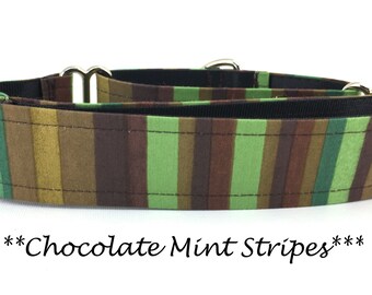 Martingale Dog Collar or Buckle Dog Collar or Buckle Mart or Chain Martingale, Green, Brown, Striped Dog Collar, Chocolate Mint Stripes