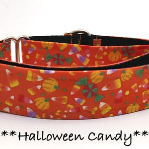 Martingale Dog Collar or Buckle Dog Collar or Buckle Mart or Chain Martingale or Halloween Martingale Collar, Halloween Candy