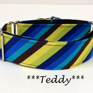 May include: A colorful dog collar with a striped pattern in shades of blue, green, and brown. The collar has metal hardware and the text "***Teddy***" in black script.