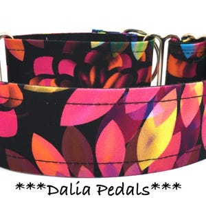May include: A wide dog collar with a floral pattern in shades of pink, orange, yellow, and purple on a black background. The collar has a black interior and silver metal hardware. The text "***Dalia Pedals***" is at the bottom.