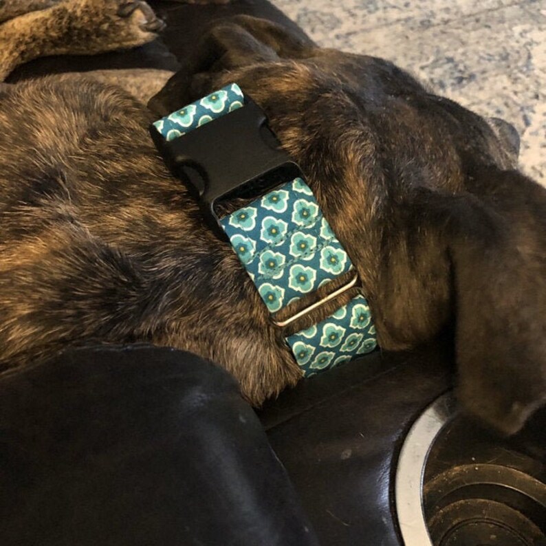 Martingale Dog Collar Preppy Blue Dog Collar Preppy Blue Etsy