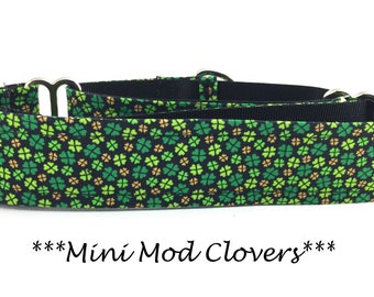 stylish martingale collars