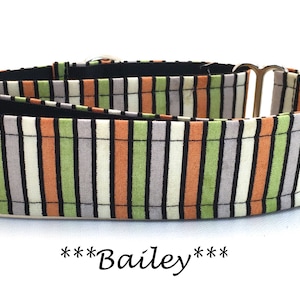 Martingale Dog Collar or Buckle Dog Collar or Buckle Mart or Chain Martingale Tan, Gray, Green, Orange striped dog collar- Bailey