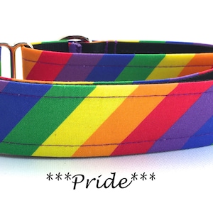 Martingale Dog Collar or Buckle Dog Collar or Buckle Mart or Chain Martingale, Rainbow Striped Dog Collar, Red, Orange, Yellow, Blue- Pride