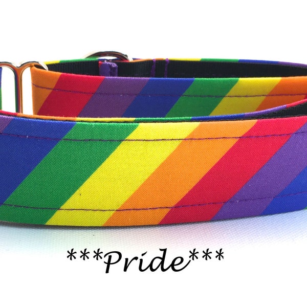 Martingale Dog Collar or Buckle Dog Collar or Buckle Mart or Chain Martingale, Rainbow Striped Dog Collar, Red, Orange, Yellow, Blue- Pride