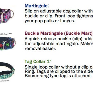 Peut inclure: Trois types de colliers pour chien&nbsp;: un collier martingale noir et rose, un collier noir avec des empreintes de pattes color&eacute;es et un collier &agrave; &eacute;tiquette vert et noir. Les colliers sont pr&eacute;sent&eacute;s sur un fond blanc avec du texte d&eacute;crivant chaque type.