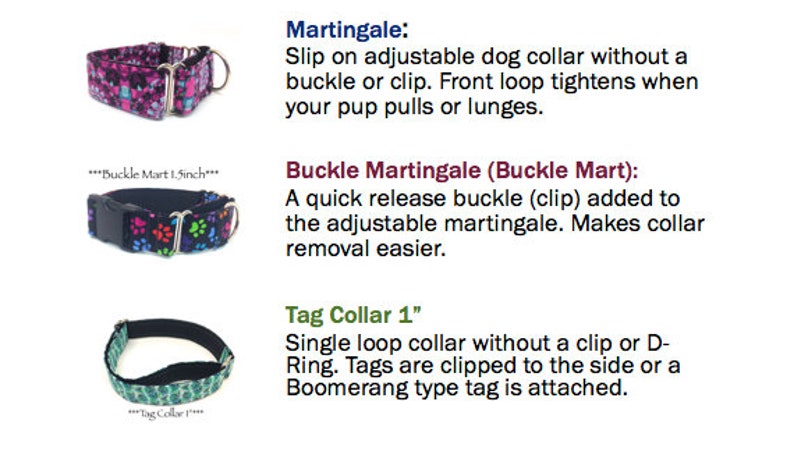 Peut inclure: Trois types de colliers pour chien&nbsp;: un collier martingale noir et rose, un collier noir avec des empreintes de pattes color&eacute;es et un collier &agrave; &eacute;tiquette vert et noir. Les colliers sont pr&eacute;sent&eacute;s sur un fond blanc avec du texte d&eacute;crivant chaque type.