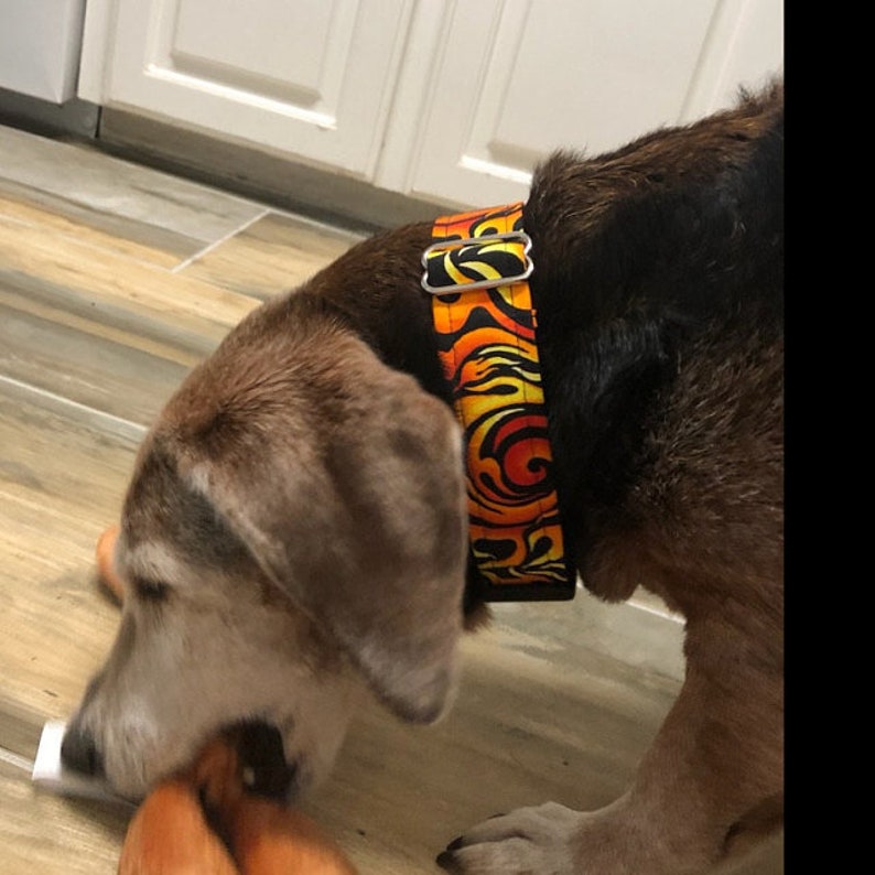 Martingale Dog Collar Flame Dog Collar Flame Martingale Dog Etsy