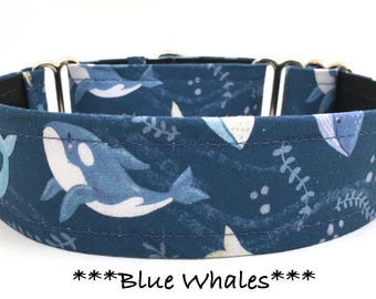 Blue Whales Martingale Dog Collar or Buckle Dog Collar or Buckle Mart or Chain Martingale, Blue Whales