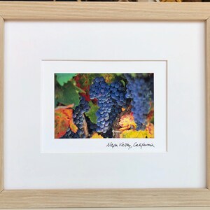 Napa Valley Framed Art - Grapes