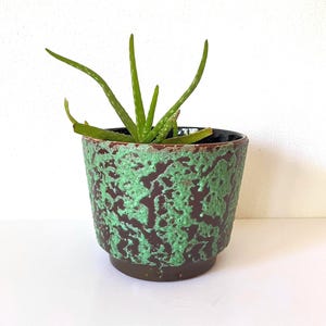May include: A small aloe vera plant with pointed green leaves potted in a round ceramic planter. The planter features a dark brown base color with a thick, textured, bright green lava-style glaze overlay that creates a mottled, organic pattern.