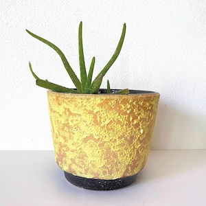 May include: A set of three ceramic mugs with a speckled, matte finish. The mugs are in shades of cream, light gray, and dark gray. Each mug has a simple, minimalist design, perfect for coffee or tea.