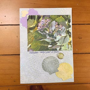 Carte-cadeau Beauté de la côte hawaïenne : coquillages, plantes et scènes de nature pour toutes les occasions