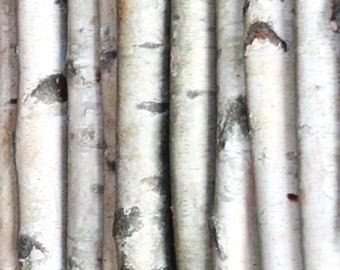 white birch wood etsy