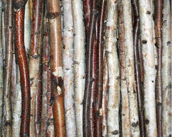 Birch Stick Pack (3 pack)