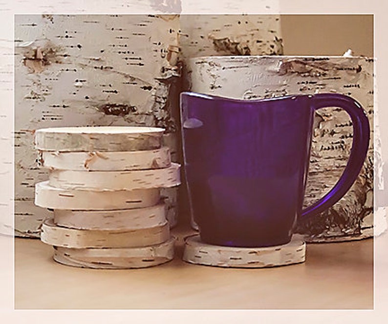Birch Coasters set of 8 Etsy