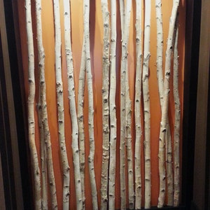 White Birch Poles image 3