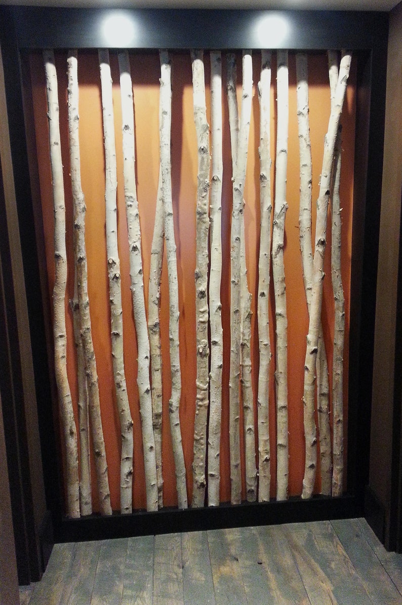 White Birch Poles image 3