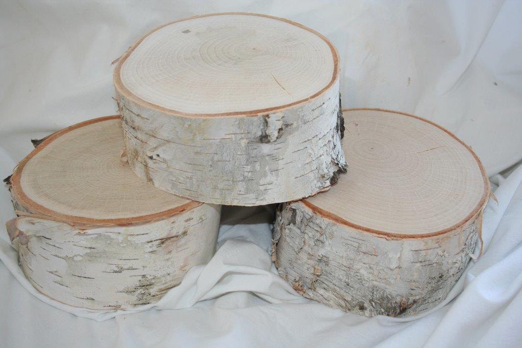 Birch Base Design Birch Base- Set of 3 - Etsy