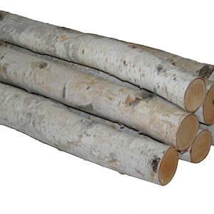 Wilson Decorative White Birch Log Bundle, Natural Bark Wood Home Décor Set of 8 image 1