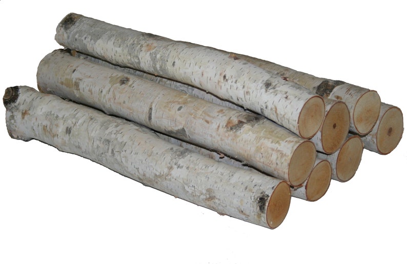 Wilson Decorative White Birch Log Bundle, Natural Bark Wood Home Décor Set of 8 image 1