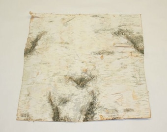 Birch Bark (approx 12" x 12") 2pk