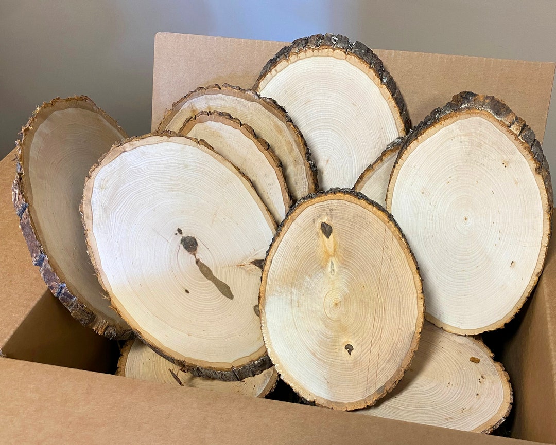 Basswood Plaque Value Packs SECONDS Etsy