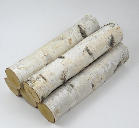 Wilson Large Birch Fireplace Logs Decorative Natural Bark - Etsy UK