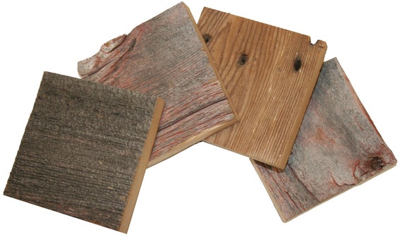 Reclaimed Barn Wood Coasters - Birch Logs