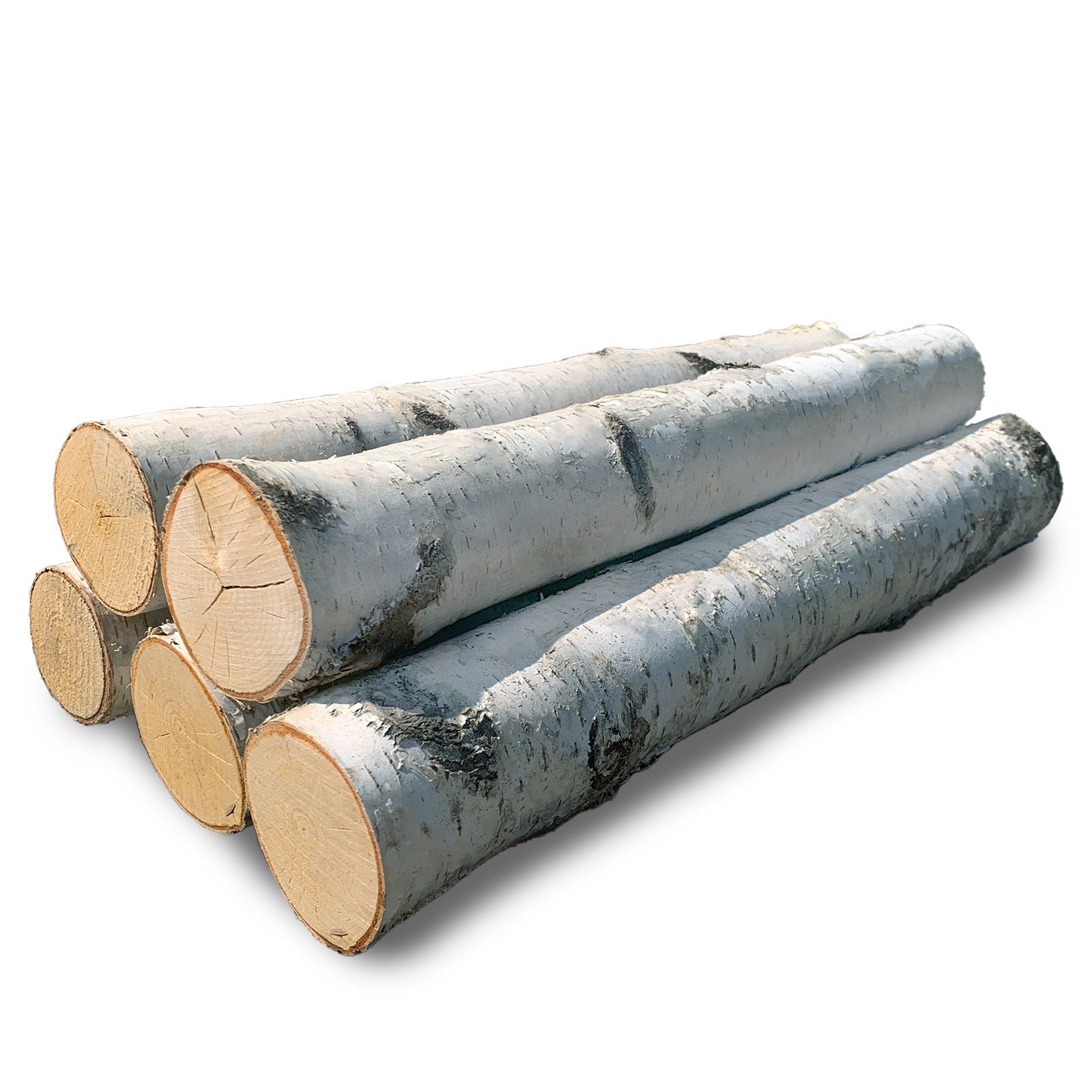 White Birch Fireplace Logs Cottagecore Decor Birch Logs Set of 5 