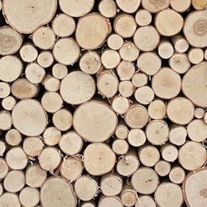 Wilson 7&quot;-9&quot; Decorative White Birch Fill-A-Space Logs, Natural Home Décor - 1.5&quot;-4&quot; Dia. (1 Sq. Ft)