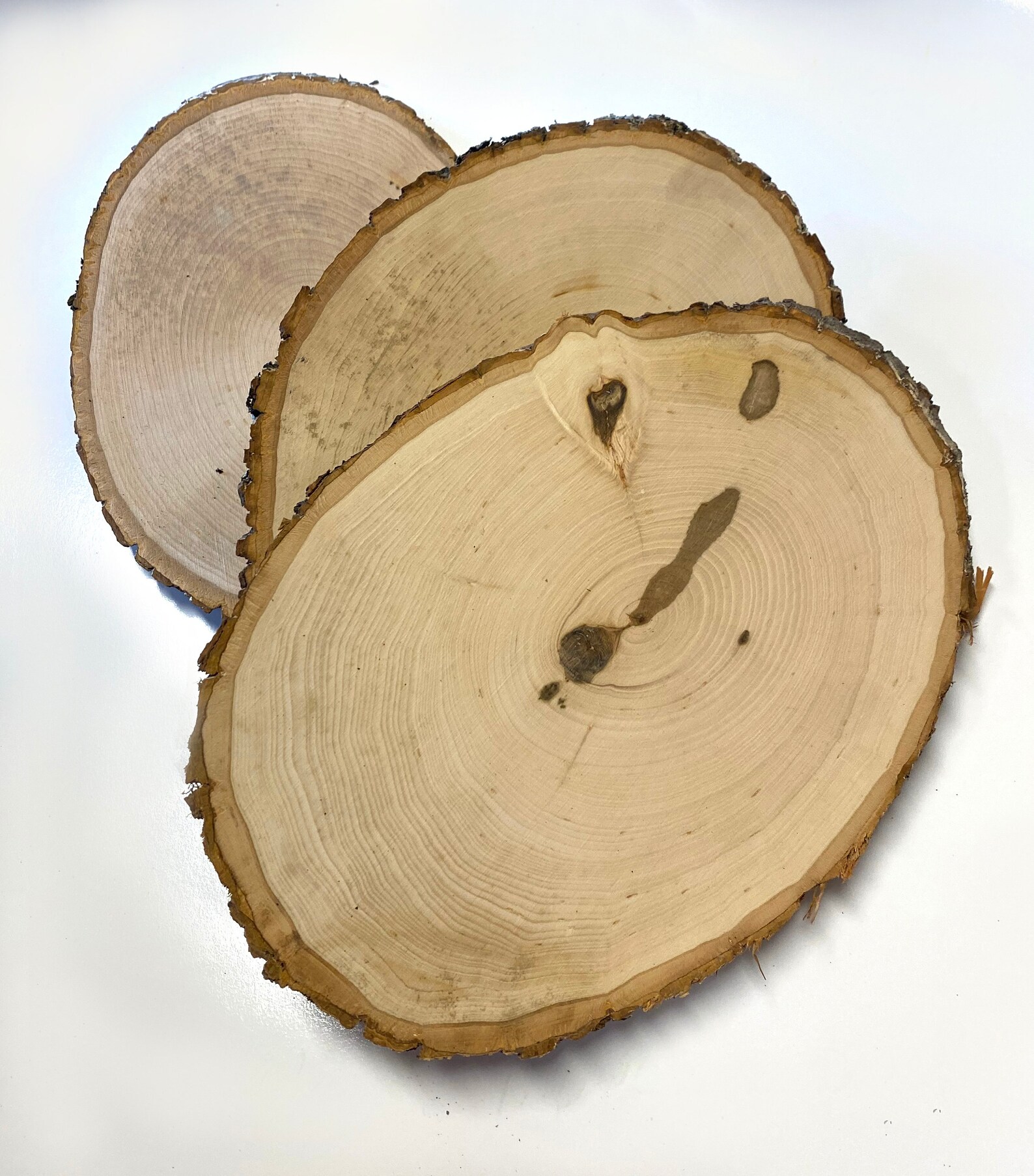 Basswood Plaque Value Packs SECONDS Etsy