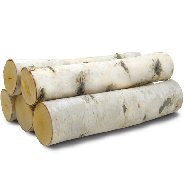 Wilson Large Birch Fireplace Logs, Decorative, Natural Bark Home Décor