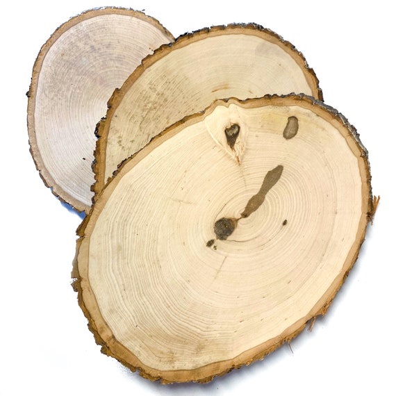 Wilson Decorative White Birch Log Bundle, Natural Bark Wood Home Décor set  of 8 