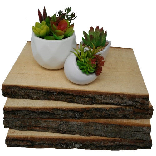 Wilson 17-18" Decorative White Birch Logs, Natural Bark