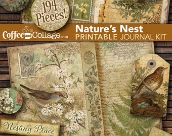 Bird Nest Junk Journal Scrap Pack – Digital Download | Antique Floral Botanical Ephemera, Junk or Art Journaling, Scrapbooking & Collage