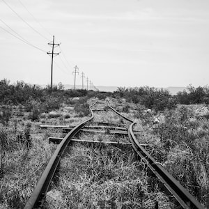 K&ouml;nnte beinhalten: Schwarz-Wei&szlig;-Foto von verlassenen Bahngleisen, die sich durch &uuml;berwuchertes Gras schl&auml;ngeln. Stromleitungen und Masten erstrecken sich unter einem bew&ouml;lkten Himmel in die Ferne und erzeugen ein Gef&uuml;hl von Verlassenheit und Vergessenheit.