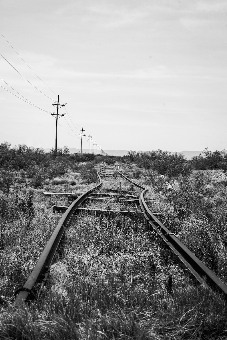 K&ouml;nnte beinhalten: Schwarz-Wei&szlig;-Foto von verlassenen Bahngleisen, die sich durch &uuml;berwuchertes Gras schl&auml;ngeln. Stromleitungen und Masten erstrecken sich unter einem bew&ouml;lkten Himmel in die Ferne und erzeugen ein Gef&uuml;hl von Verlassenheit und Vergessenheit.