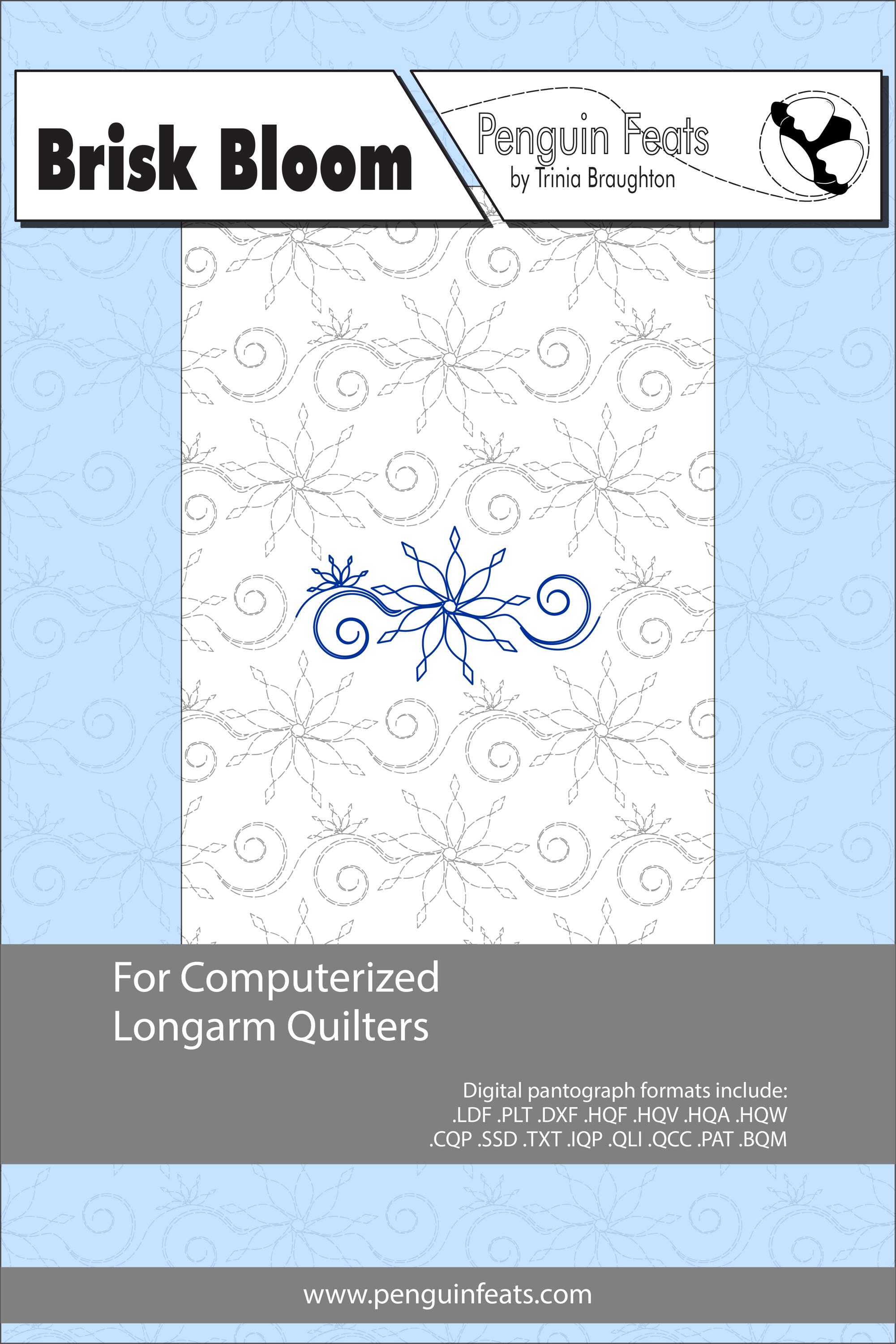 BRISK BLOOM Digital Quilting Pantograph: Winter Snowflake E2E Longarm ...