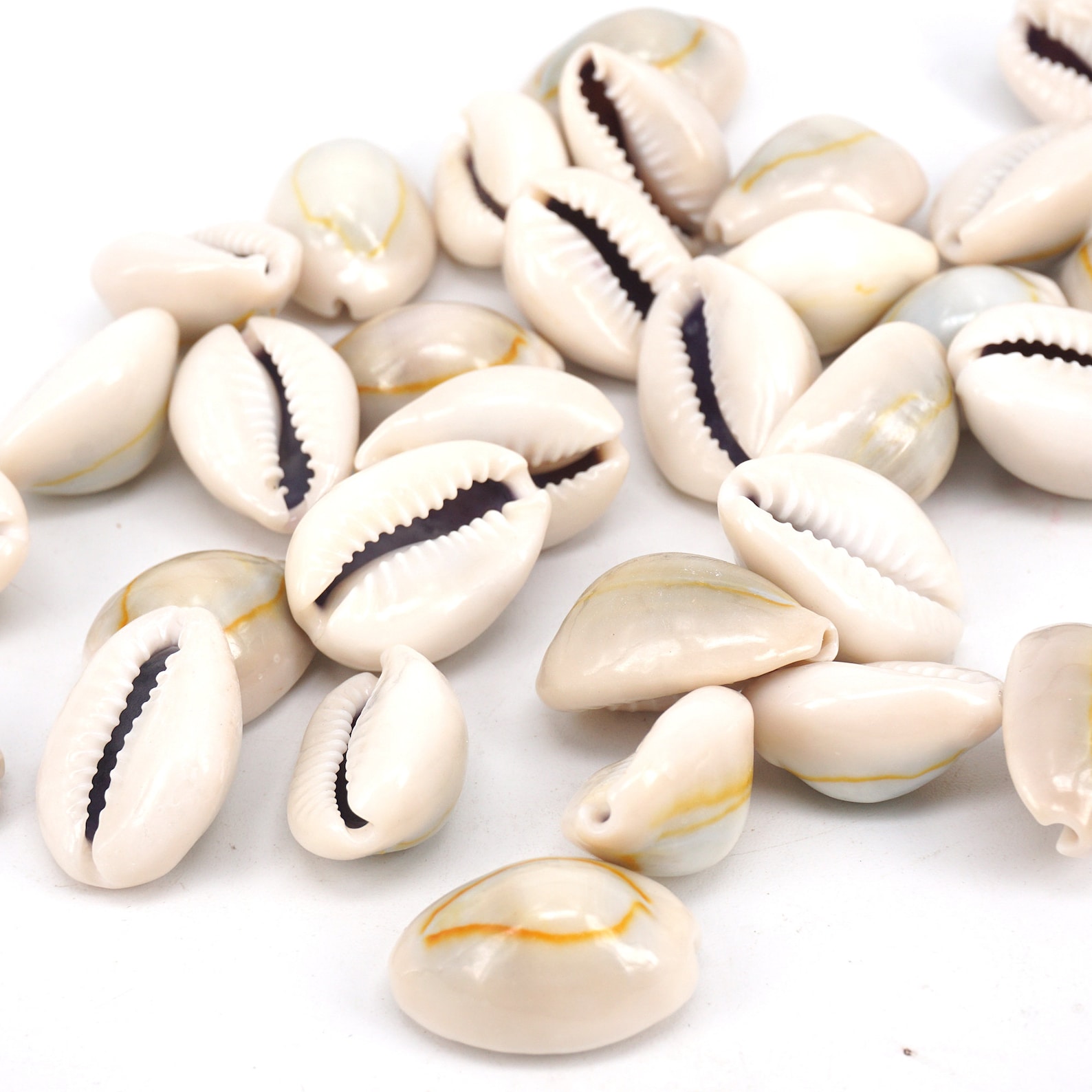 50pc Natural Cowrie Shell Bead, Bulk Shell Beach Loose - Etsy