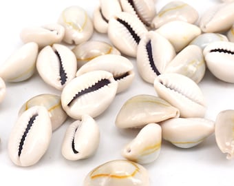 50pc Natural Cowrie Shell Bead, Bulk Shell  Beach Loose