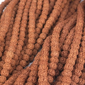 5 Mukhi Rudraksha Round Bead  Natural Bodhi Seed Tibetan Mala Bead, Nepal Bodhi Bead