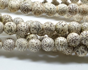 Natural Lotus Seed Mala Beads, 108pc